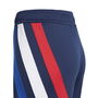 Fortore 23 Football Shorts Juniors