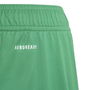 Fortore 23 Football Shorts Juniors