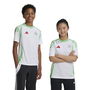 Algeria Home Shirt 2024 2025 Juniors