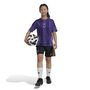 Messi Training Shirt Juniors 