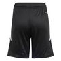 Tiro 24 Training Shorts Juniors