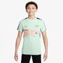 Academy Big Kids Dri FIT Soccer Top