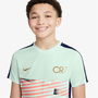 Academy Big Kids Dri FIT Soccer Top