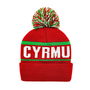 Wales Bobble Hat