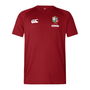 British and Irish Lions 2025 Everest T-Shirt Adults