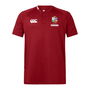 British and Irish Lions 2025 Polo Shirt Adults