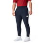 British and Irish Lions 2025 Everest Pants Adults