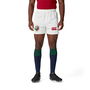 British and Irish Lions 2025 Match Shorts Adults