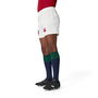 British and Irish Lions 2025 Match Shorts Adults