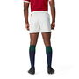 British and Irish Lions 2025 Match Shorts Adults