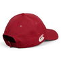 British and Irish Lions 2025 Training Baseball Cap