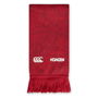 British and Irish Lions 2054 Supporters Scarf Adults