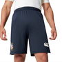 British and Irish Lions 2025 Gym Shorts Adults