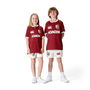 British and Irish Lions 2025 Shirt Juniors