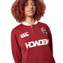 British and Irish Lions 2025 L/S Classic Shirt Adults