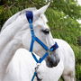 Whitaker Club Headcollar and Lead Rope Set