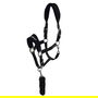 Whitaker Club Headcollar and Lead Rope Set
