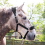 Whitaker Club Headcollar and Lead Rope Set