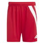 Fortore 23 Shorts Mens