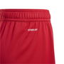 Fortore 23 Football Shorts Juniors