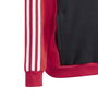 Tiberio 3 Stripes Colourblock Hoodie Juniors