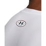 HeatGear® Compression   Long Sleeve Mens