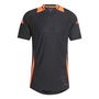 Tiro 24 Pro Training T Shirt