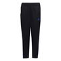 Training Tracksuit Bottoms Juniors 