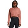 UA Rival Terry Oversized Crop Crew Sweatshirt Womens