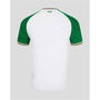 Ireland Third Shirt 2025 Mens