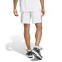 Mens Sereno Training Shorts