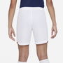 France Home Football Shorts 2022 2023 Juniors