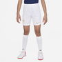 France Home Football Shorts 2022 2023 Juniors