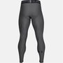 HeatGear Core Tights Mens