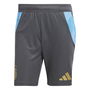 Argentina Training Shorts 2024 2025 Adults