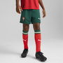 Portugal Home Shorts 2025 Juniors