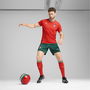 Portugal Home Shorts 2025 Adults