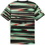 Portugal Pre Match T Shirt 2025 Adults