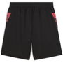 Future Individual Training Shorts Adults