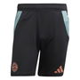 Bayern Munich Training Shorts 2024 2025 Adults