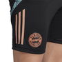 Bayern Munich Training Shorts 2024 2025 Adults