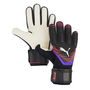 Future Match Goalkeeper Glove