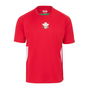 Wales Supporters T-Shirt Mens