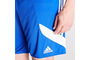 Mens Sereno Training Shorts