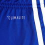 Mens Sereno Training Shorts