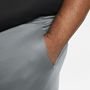 Dri FIT Training Shorts Mens