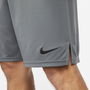 Dri FIT Training Shorts Mens