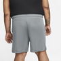Dri FIT Training Shorts Mens