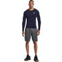 Armour HeatGear® Long Sleeve Mens