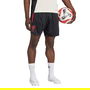 Liverpool Training Shorts 2025 2026 Adults